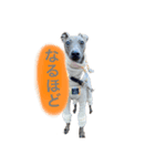 日常のイタグレあるある（個別スタンプ：1）