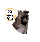 日常のイタグレあるある（個別スタンプ：7）