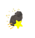 あおザウルス♡（個別スタンプ：24）