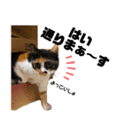 2足歩行ギズモ（個別スタンプ：9）