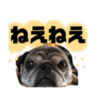 ともぞー時々ぶー（個別スタンプ：7）