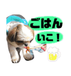 ともぞー時々ぶー（個別スタンプ：15）