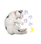 愛しの桜羽花（個別スタンプ：3）
