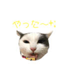 愛しの桜羽花（個別スタンプ：7）