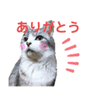 拙者ごえもんなり（個別スタンプ：6）