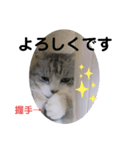 拙者ごえもんなり（個別スタンプ：11）