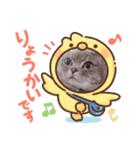 猫 メンマです3（個別スタンプ：1）