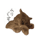猫 メンマです3（個別スタンプ：6）