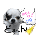 ☆心菜の☆色々使える関西弁（個別スタンプ：1）
