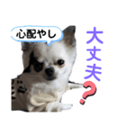 ☆心菜の☆色々使える関西弁（個別スタンプ：3）