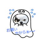 ☆心菜の☆色々使える関西弁（個別スタンプ：4）