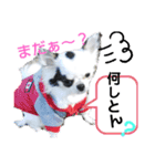 ☆心菜の☆色々使える関西弁（個別スタンプ：8）