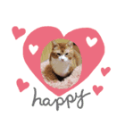 我が家の保護猫たち（個別スタンプ：2）