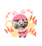 我が家の保護猫たち（個別スタンプ：4）