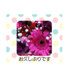 sticker flower 2（個別スタンプ：1）