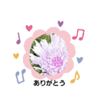 sticker flower 2（個別スタンプ：2）