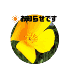 sticker flower 2（個別スタンプ：3）