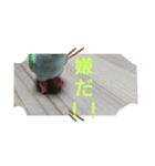 score01（個別スタンプ：6）