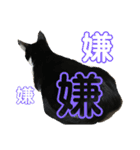 猫のスタンプを猫の許可なしに作ったw①（個別スタンプ：14）