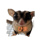 小動物たちの友情（個別スタンプ：6）