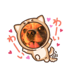 シンバ君！（個別スタンプ：5）