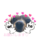 シンバ君！（個別スタンプ：11）