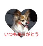 くるみちゃんですよろしくね（個別スタンプ：6）