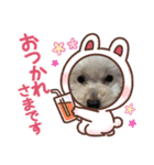 Mahalo②（個別スタンプ：1）