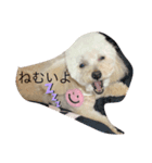 Mahalo②（個別スタンプ：6）