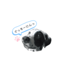 ダルメしゃん。（個別スタンプ：6）