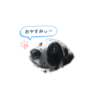 ダルメしゃん。（個別スタンプ：7）