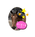 ドレッサーとその仲間たち☆その2（個別スタンプ：9）