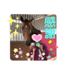 ドレッサーとその仲間たち☆その2（個別スタンプ：10）