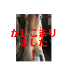 ドレッサーとその仲間たち☆その2（個別スタンプ：11）