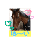 ドレッサーとその仲間たち☆その2（個別スタンプ：12）
