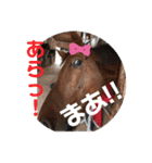 ドレッサーとその仲間たち☆その2（個別スタンプ：17）