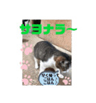 ドレッサーとその仲間たち☆その2（個別スタンプ：22）
