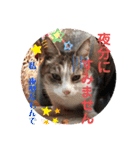 ドレッサーとその仲間たち☆その2（個別スタンプ：23）