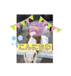 ドレッサーとその仲間たち☆その2（個別スタンプ：24）