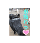 ドレッサーとその仲間たち☆その2（個別スタンプ：27）