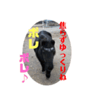 ドレッサーとその仲間たち☆その2（個別スタンプ：28）