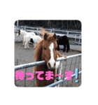 ドレッサーとその仲間たち☆その2（個別スタンプ：32）
