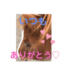 ドレッサーとその仲間たち☆その2（個別スタンプ：34）