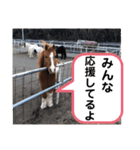 ドレッサーとその仲間たち☆その2（個別スタンプ：35）