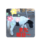 ドレッサーとその仲間たち☆その2（個別スタンプ：37）