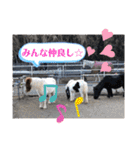 ドレッサーとその仲間たち☆その2（個別スタンプ：39）