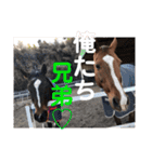 ドレッサーとその仲間たち☆その2（個別スタンプ：40）