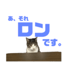 猫のねぎ2改（個別スタンプ：2）