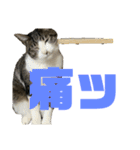 猫のねぎ2改（個別スタンプ：9）