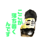 猫のねぎ2改（個別スタンプ：16）